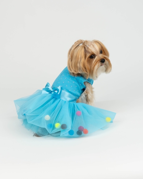 CANDY TÜTÜ MAVİ